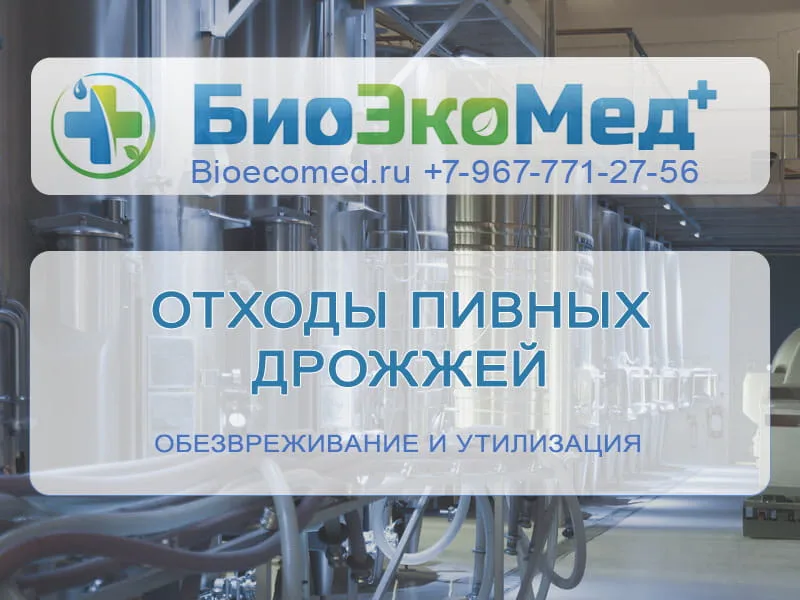 Отходы пивных дрожжей