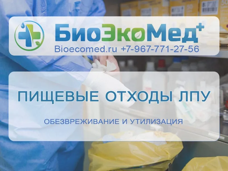 Пищевые отходы ЛПУ